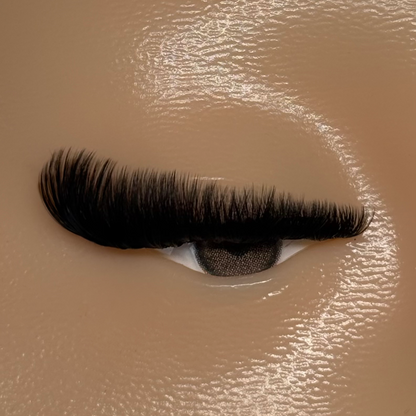 CAT-EYE
